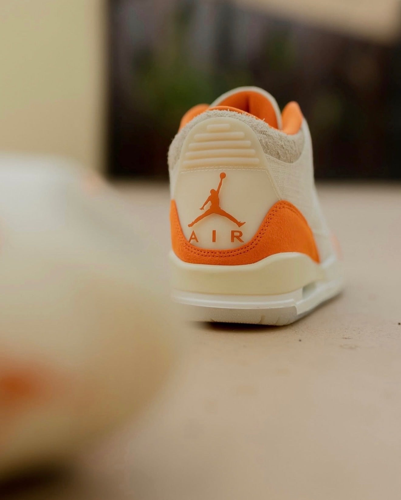 Air Jordan 3 Retro TEX