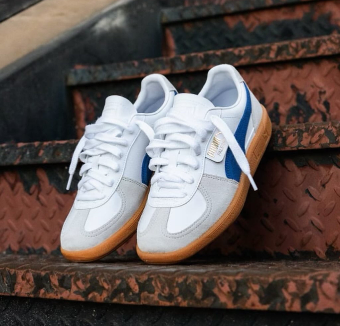 Puma Palermo Clyde Royal