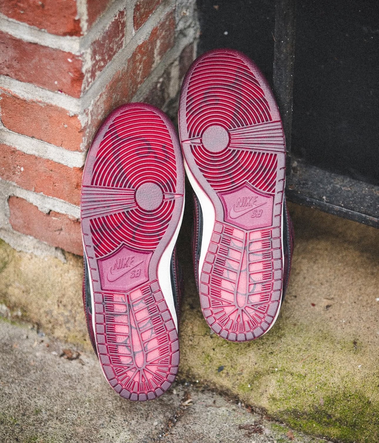 SB Dunk Low Riot Skateshop