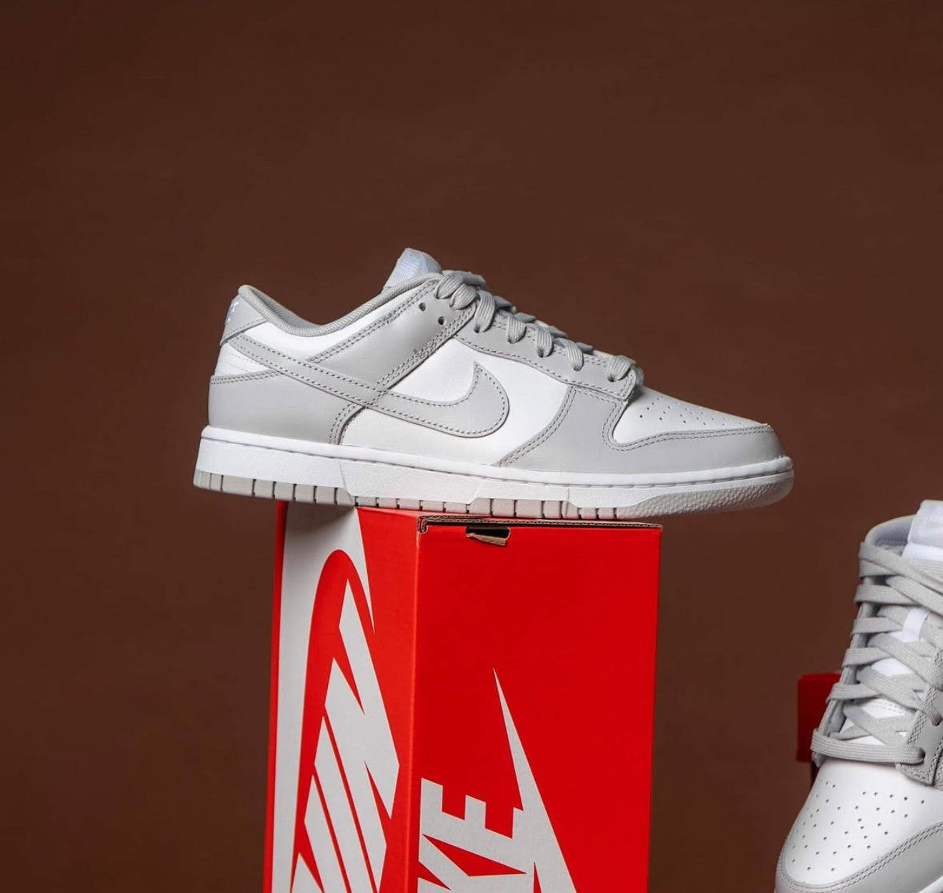 WMNs Dunk Low Grey Fog