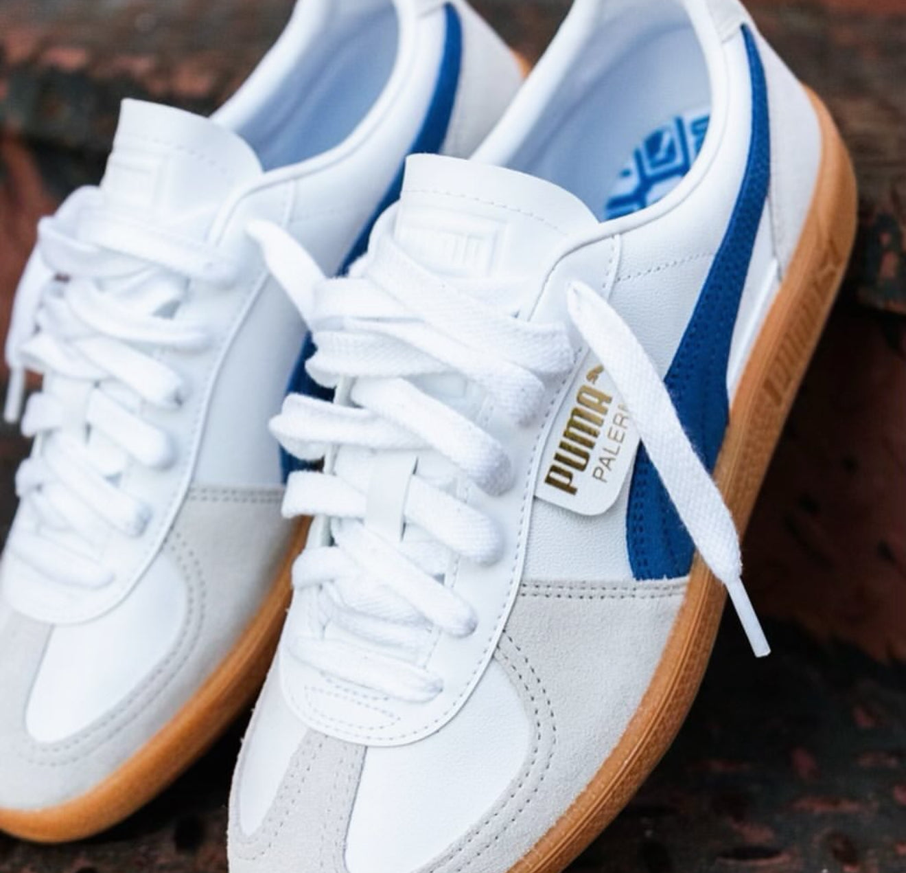 Puma Palermo Clyde Royal