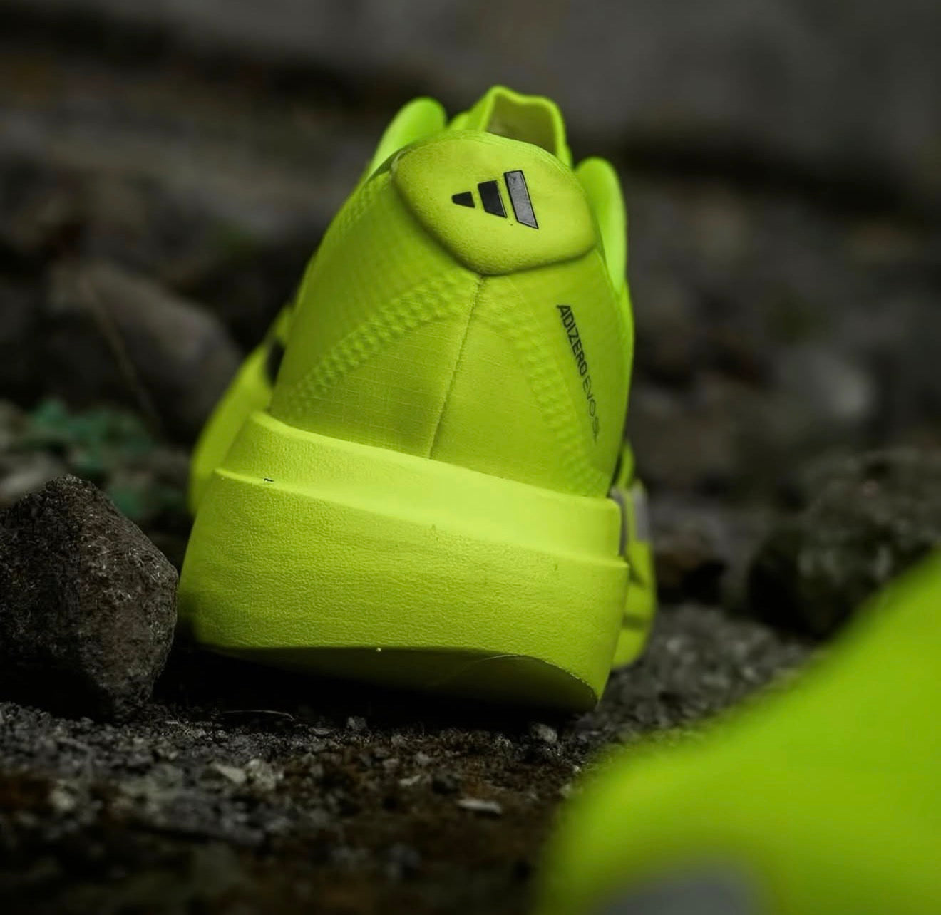 Adizero Evo SL Solar Yellow Plum