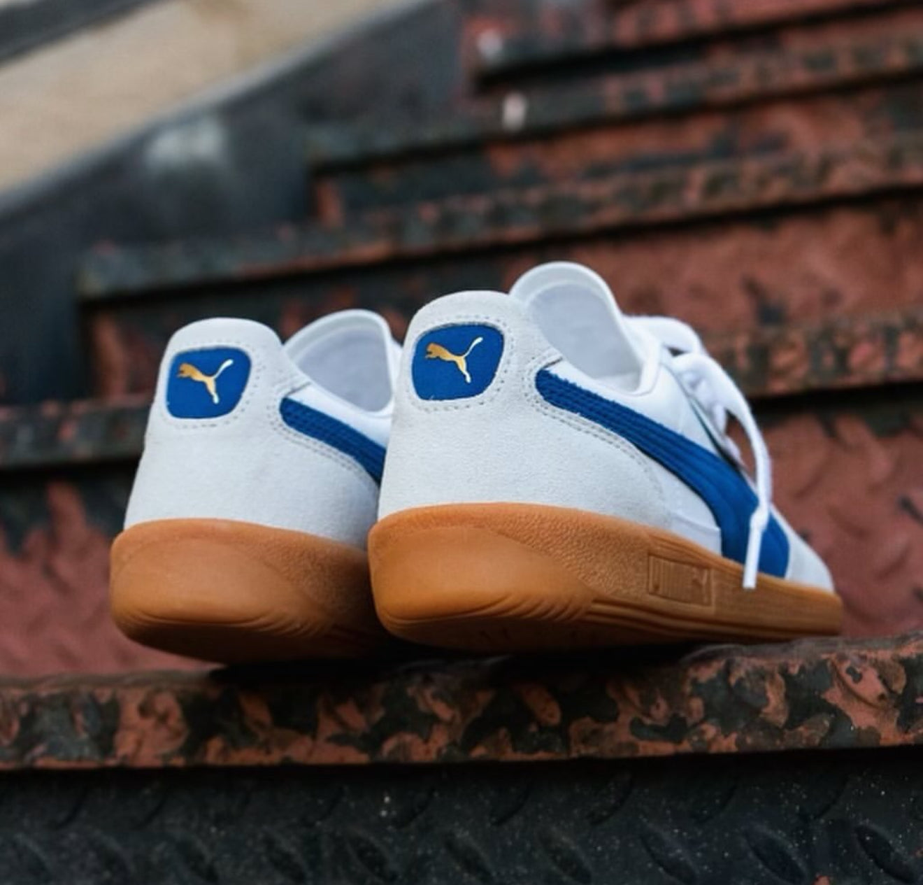 Puma Palermo Clyde Royal