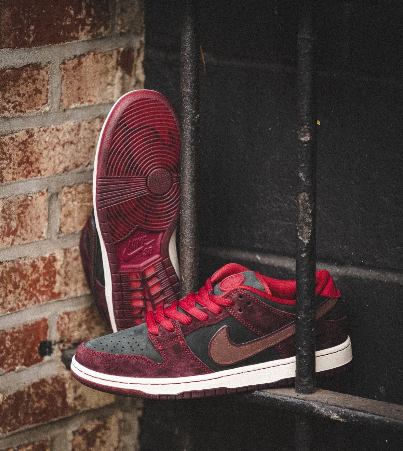 SB Dunk Low Riot Skateshop