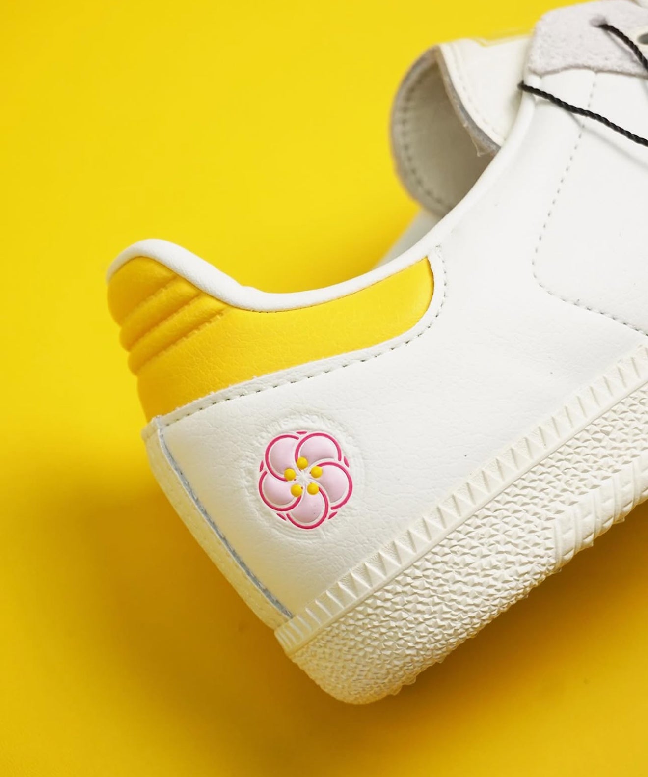 Samba Consortium Cup Kasina