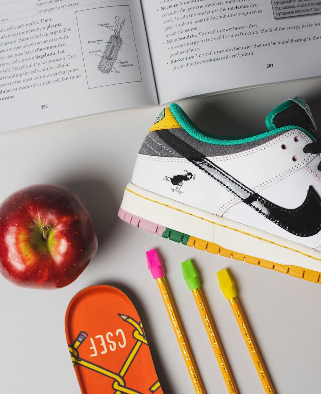 SB Dunk Low CSEF