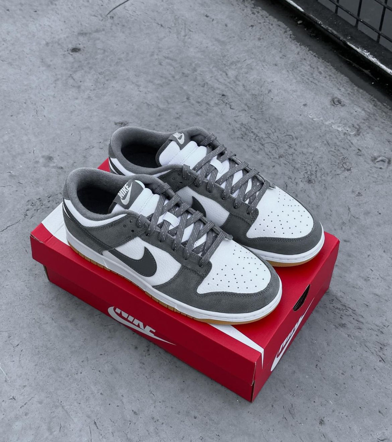 Dunk Low Grey Gum