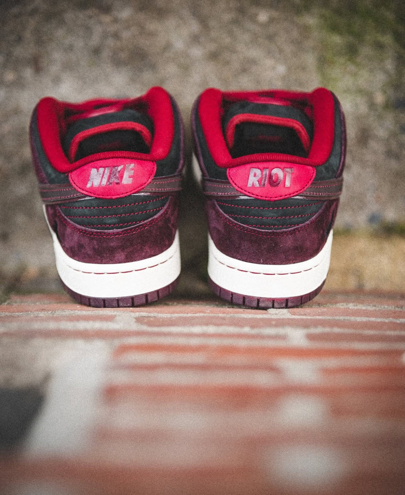 SB Dunk Low Riot Skateshop