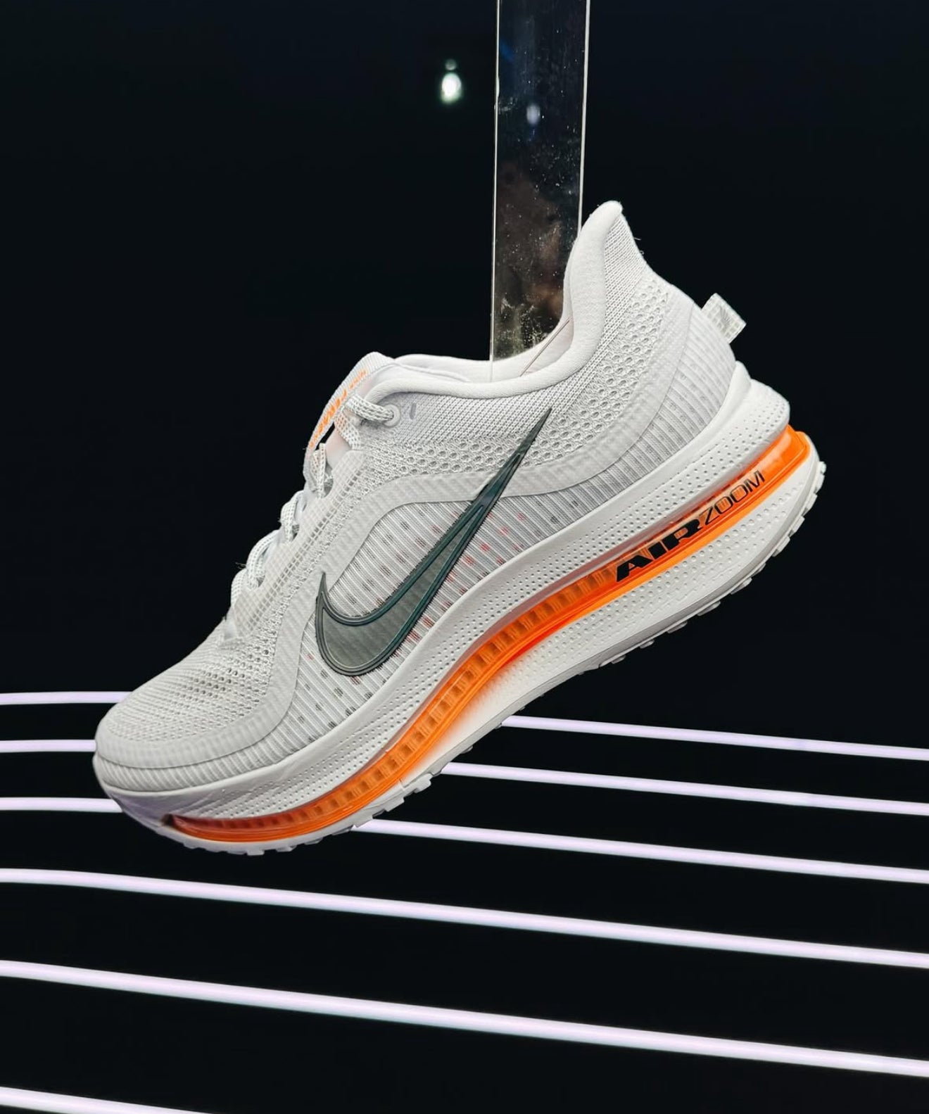 Air Zoom Pegasus Premium Airscape