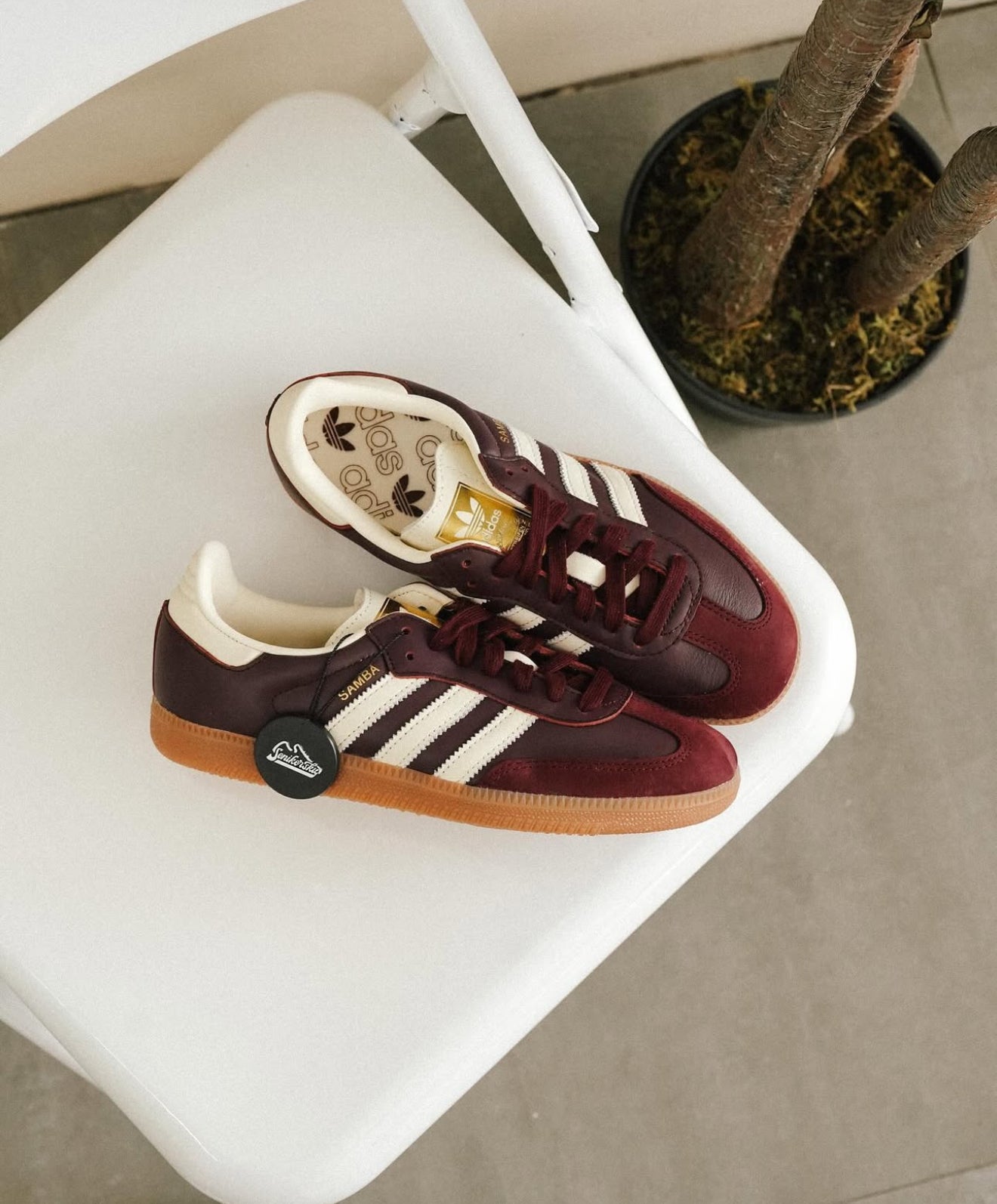 Samba OG Maroon Gold Metallic