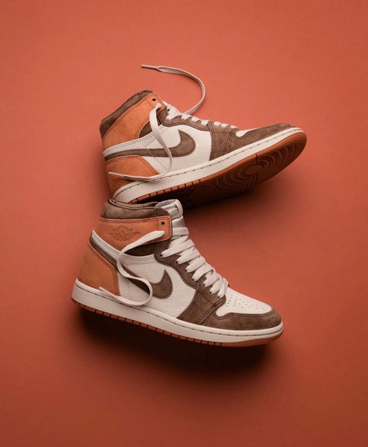 Air Jordan 1 Retro High OG SP Dusted Clay