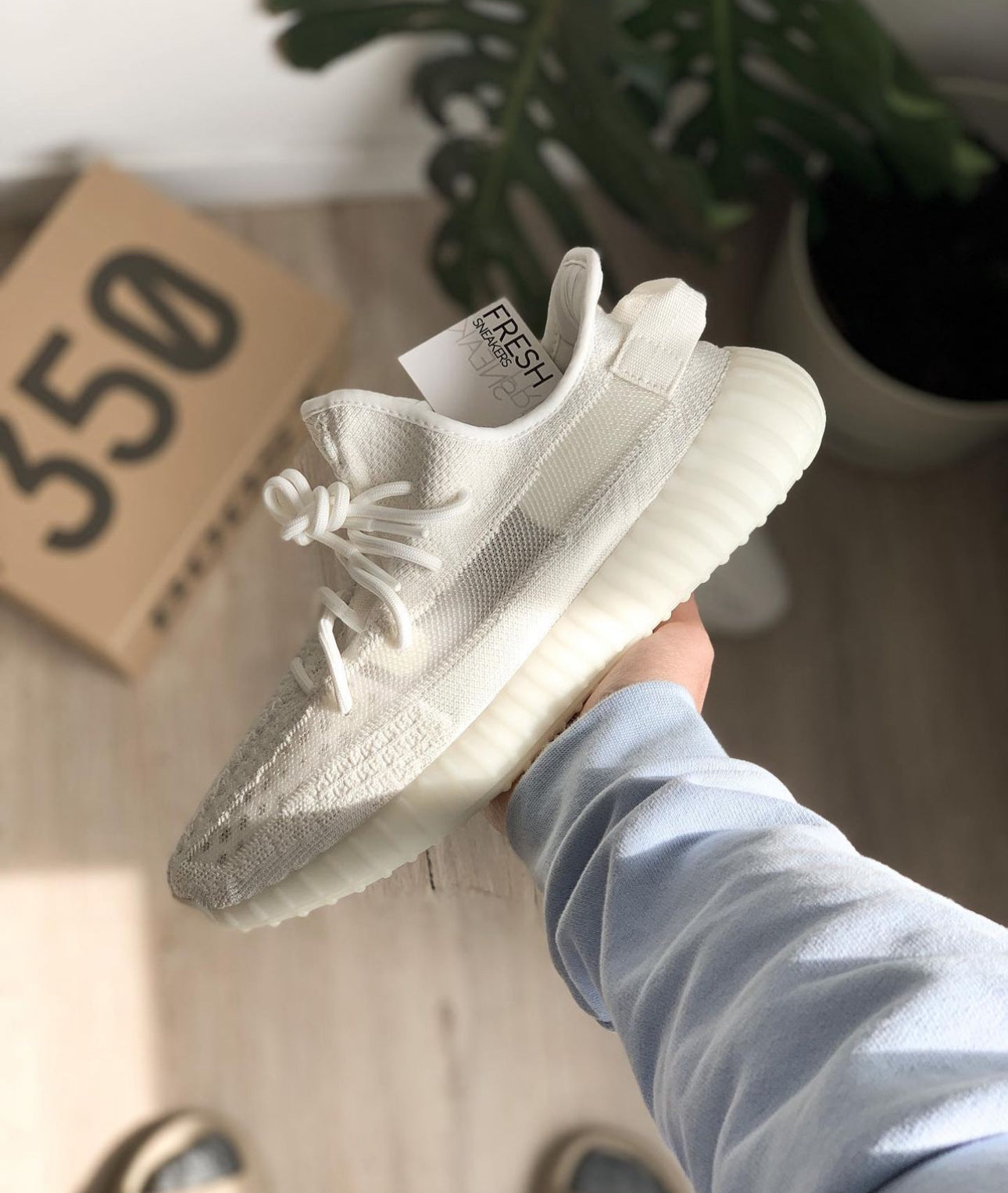 Yeezy Boost 350 V2 “ Bone ”