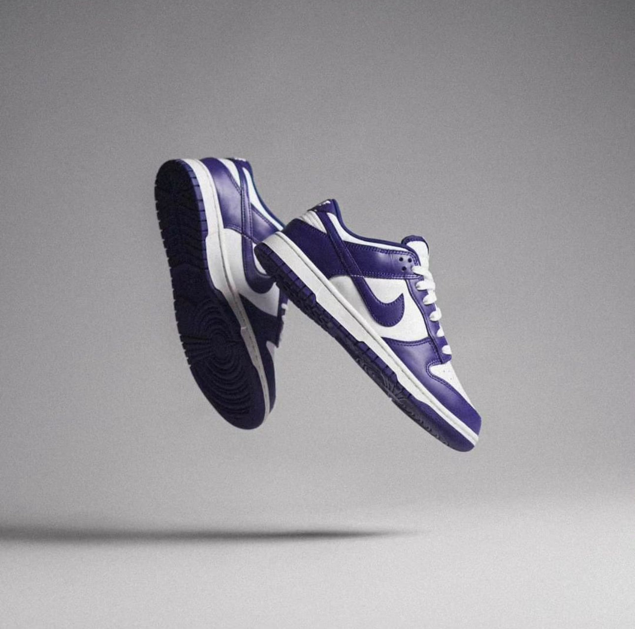 Dunk Low Court Purple