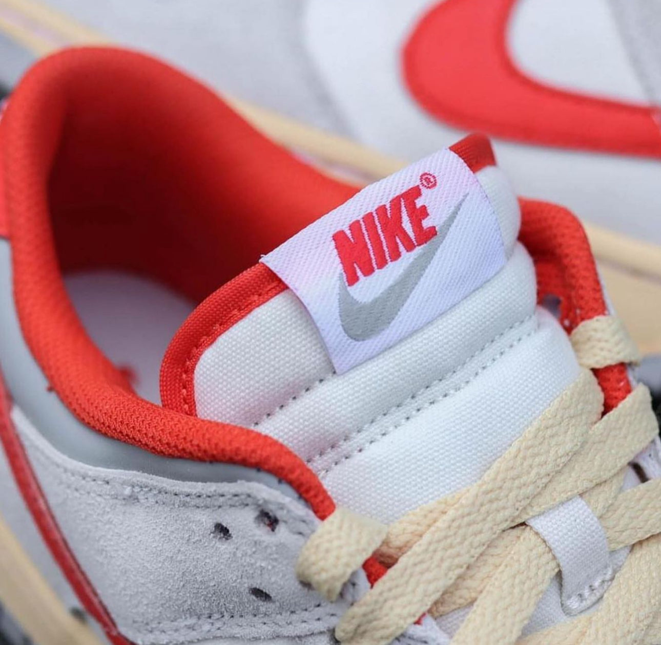 Dunk Low “ Athletic Department “