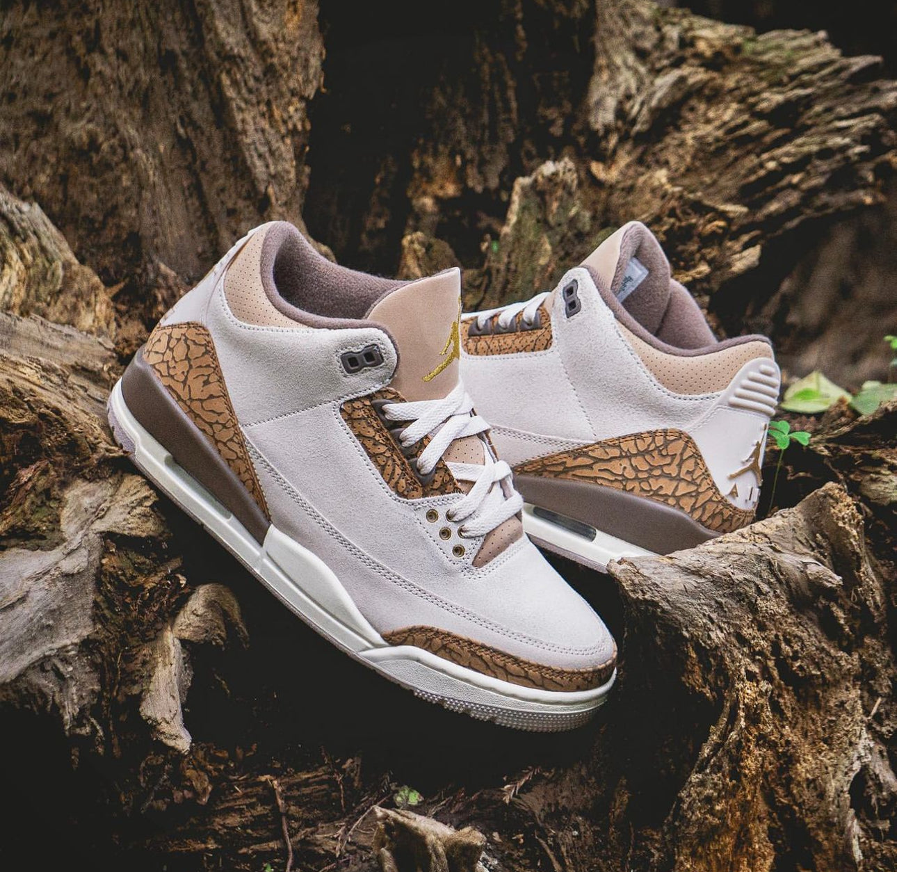 Air Jordan 3 Retro “ Palomino “