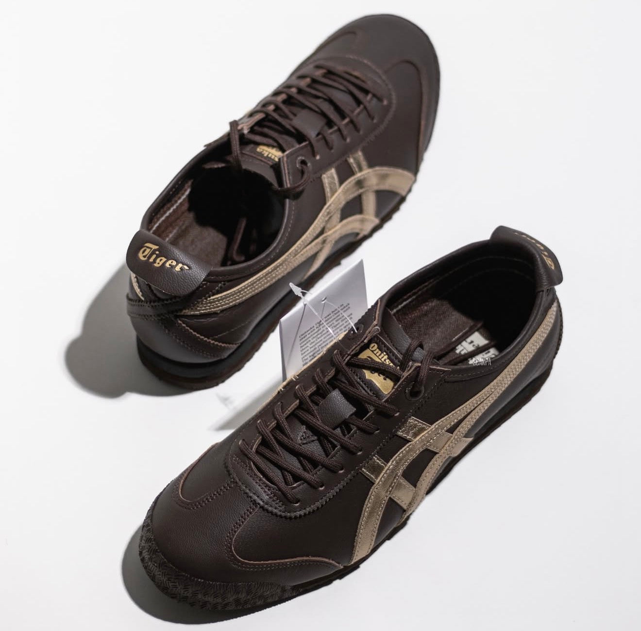 Mexico 66 SD Lace Up Licorice Brown Champagne