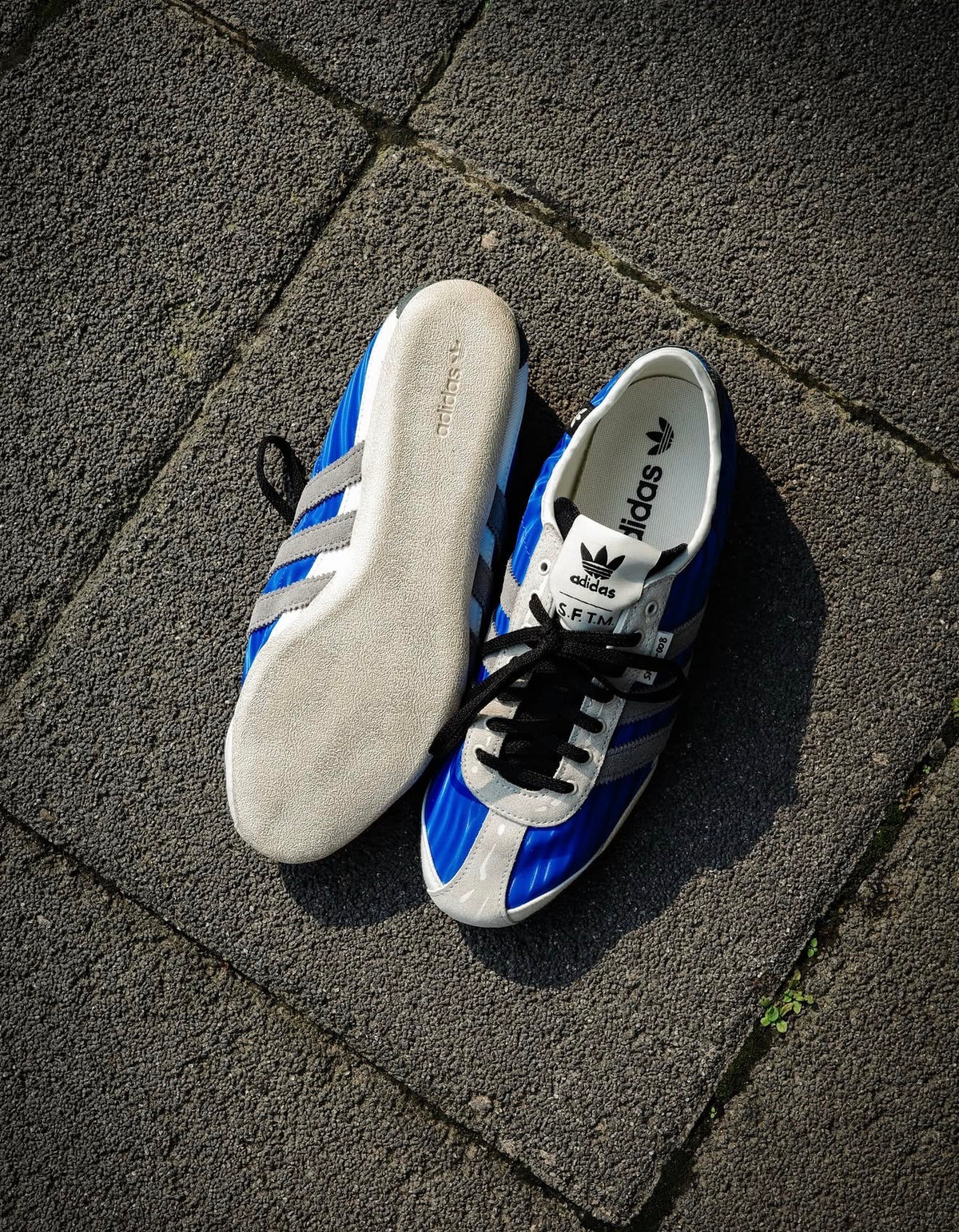 Tokyo Song For The Mute Bluebird Grey