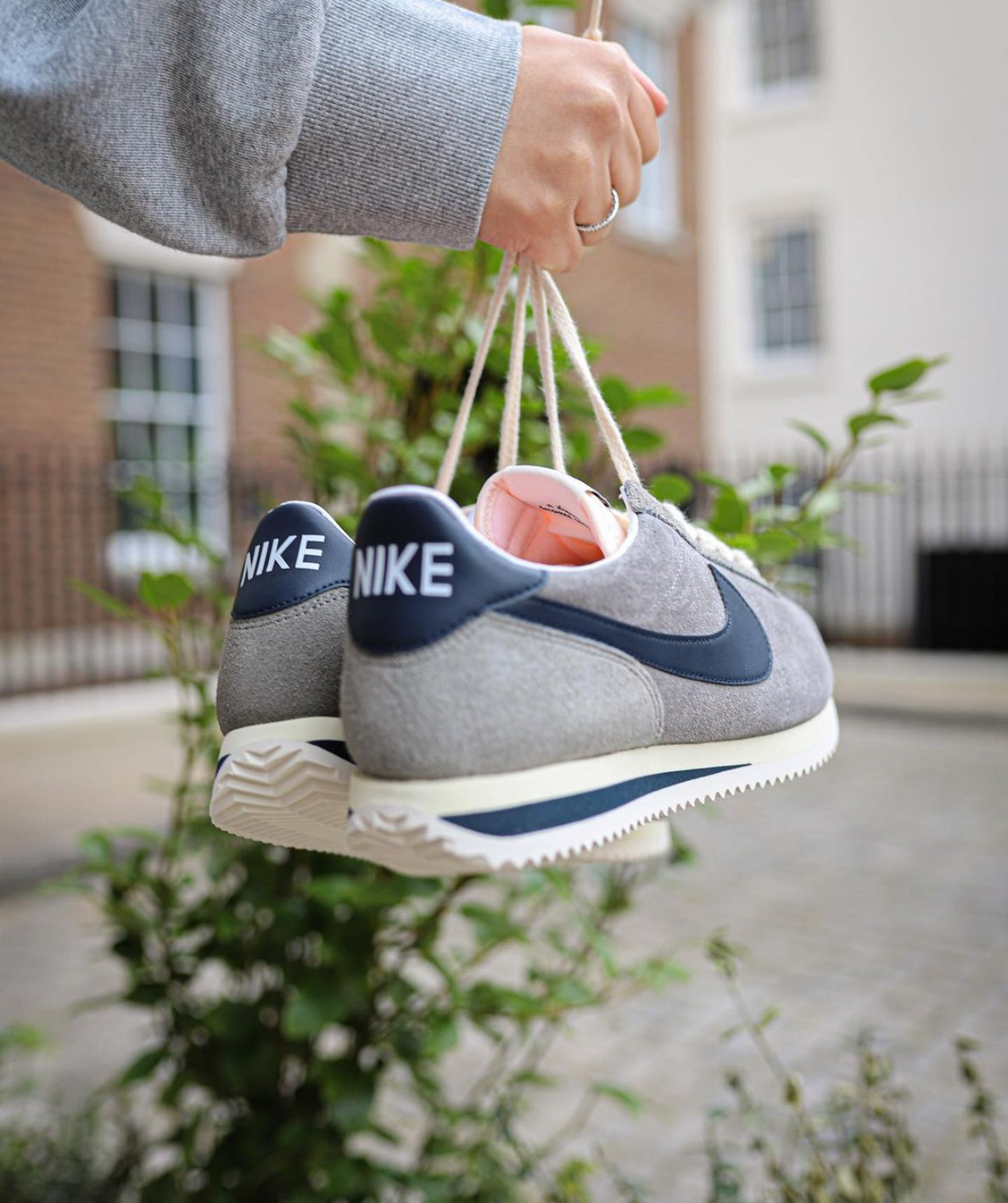 Size x Cortez Grey