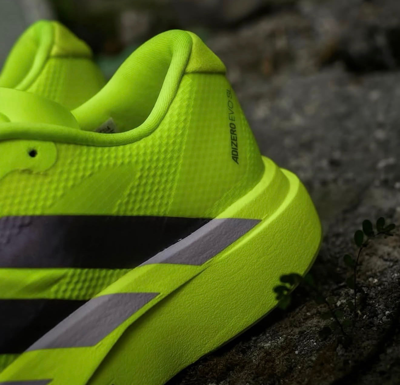 Adizero Evo SL Solar Yellow Plum