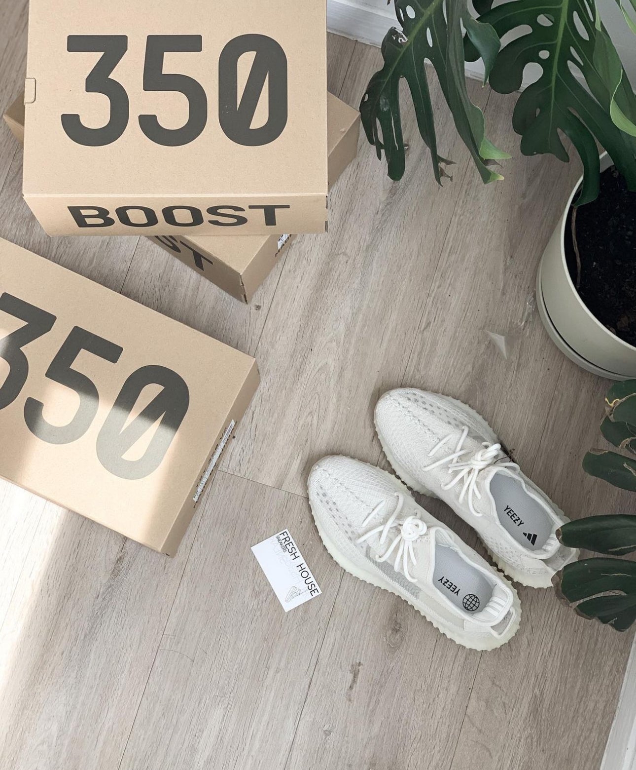 Yeezy Boost 350 V2 “ Bone ”