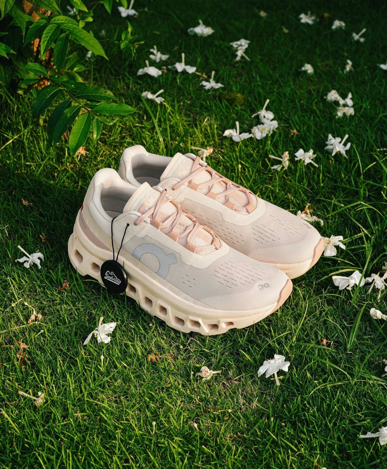 On Running Cloudmonster
Moon Fawn