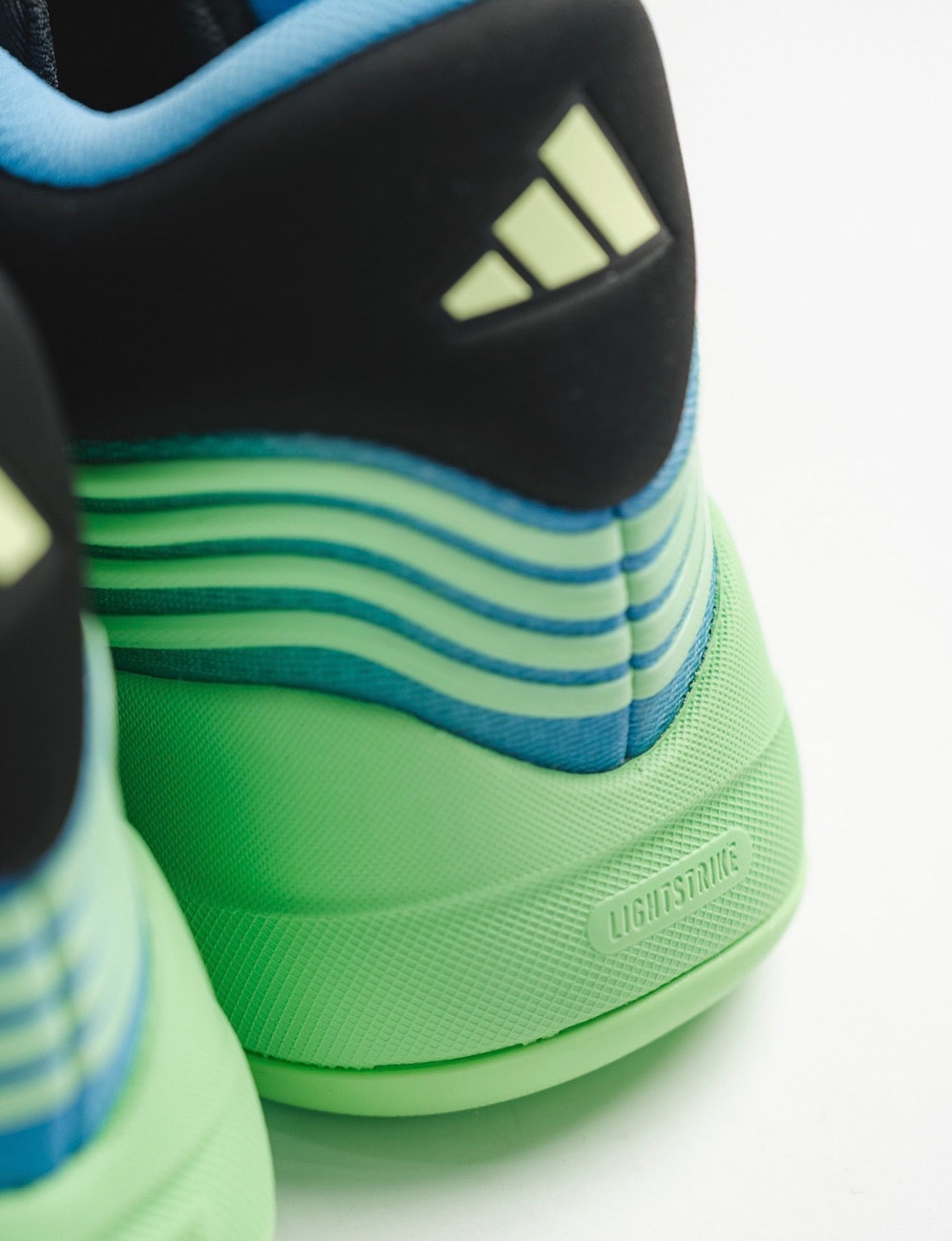 Dame 10 Dame’s Light