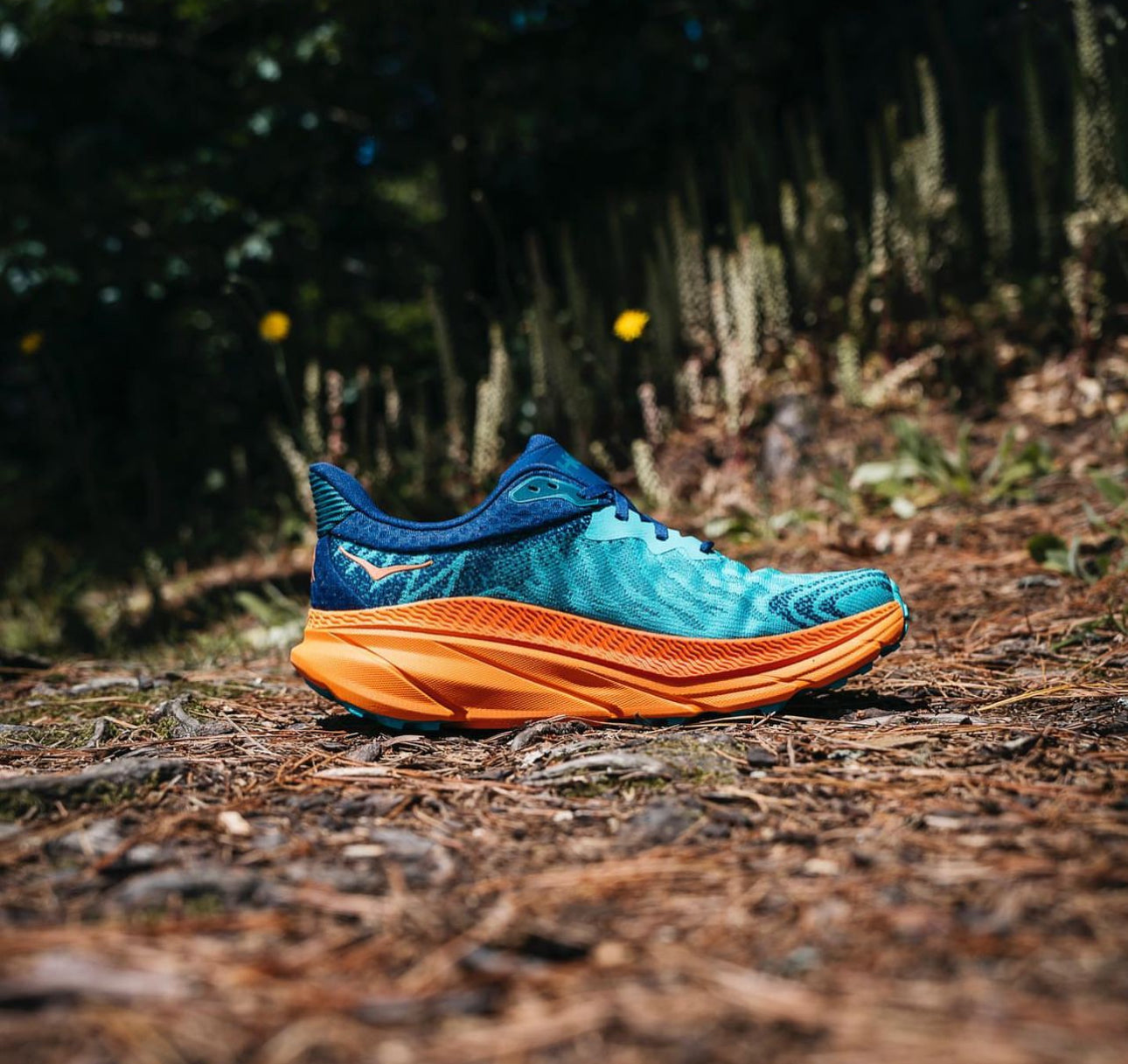 Hoka Challenger ATR 7 Blue