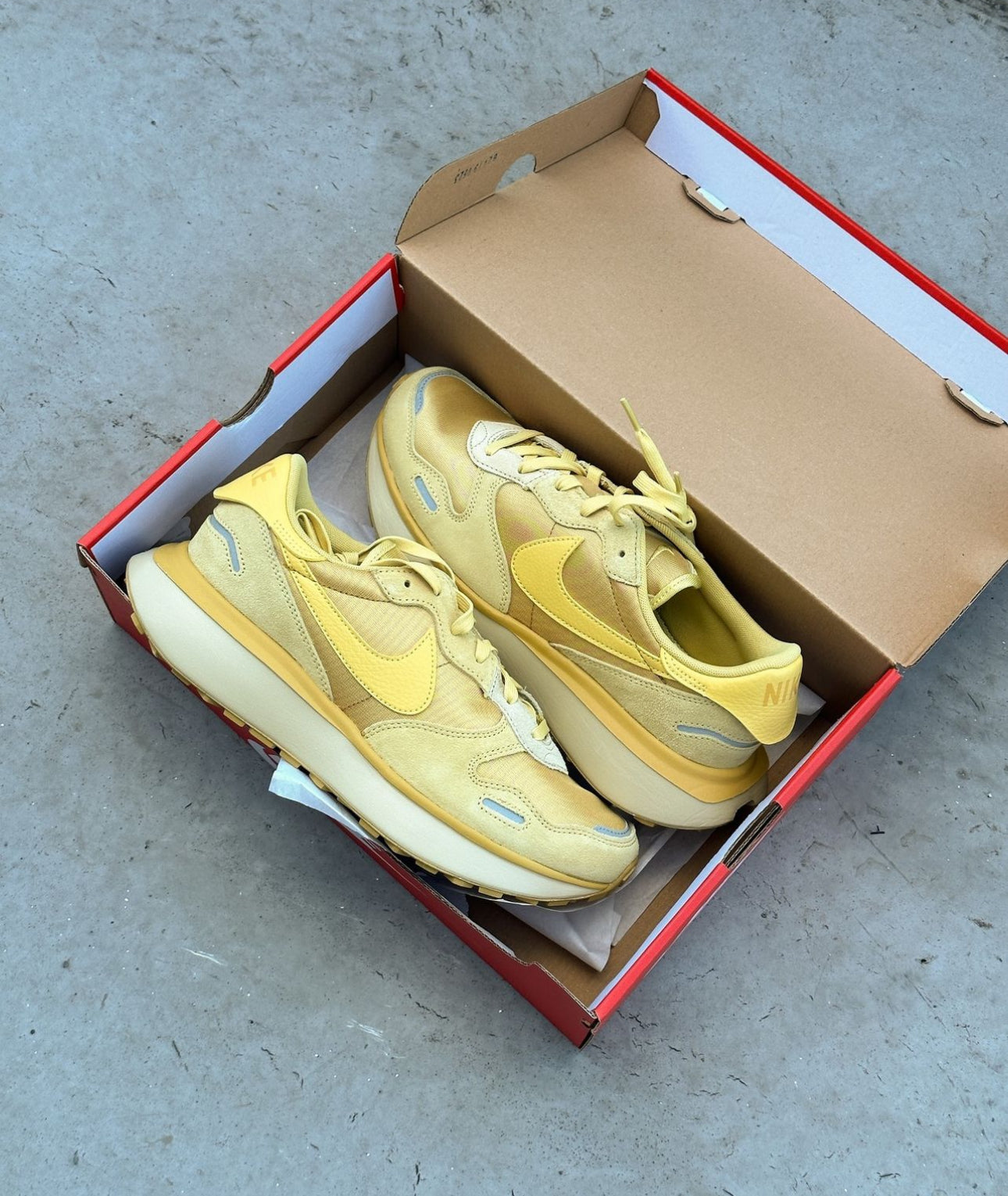 Phoenix Waffle “ Wheat Gold “