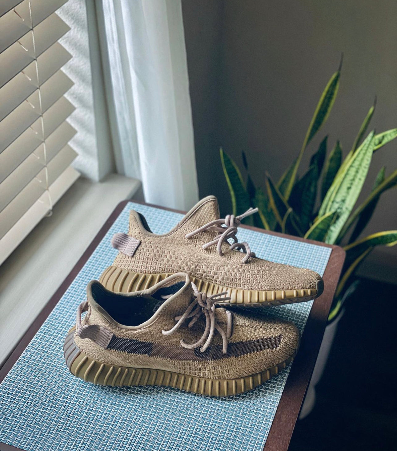 Yeezy Boost 350 V2 “ Earth ”