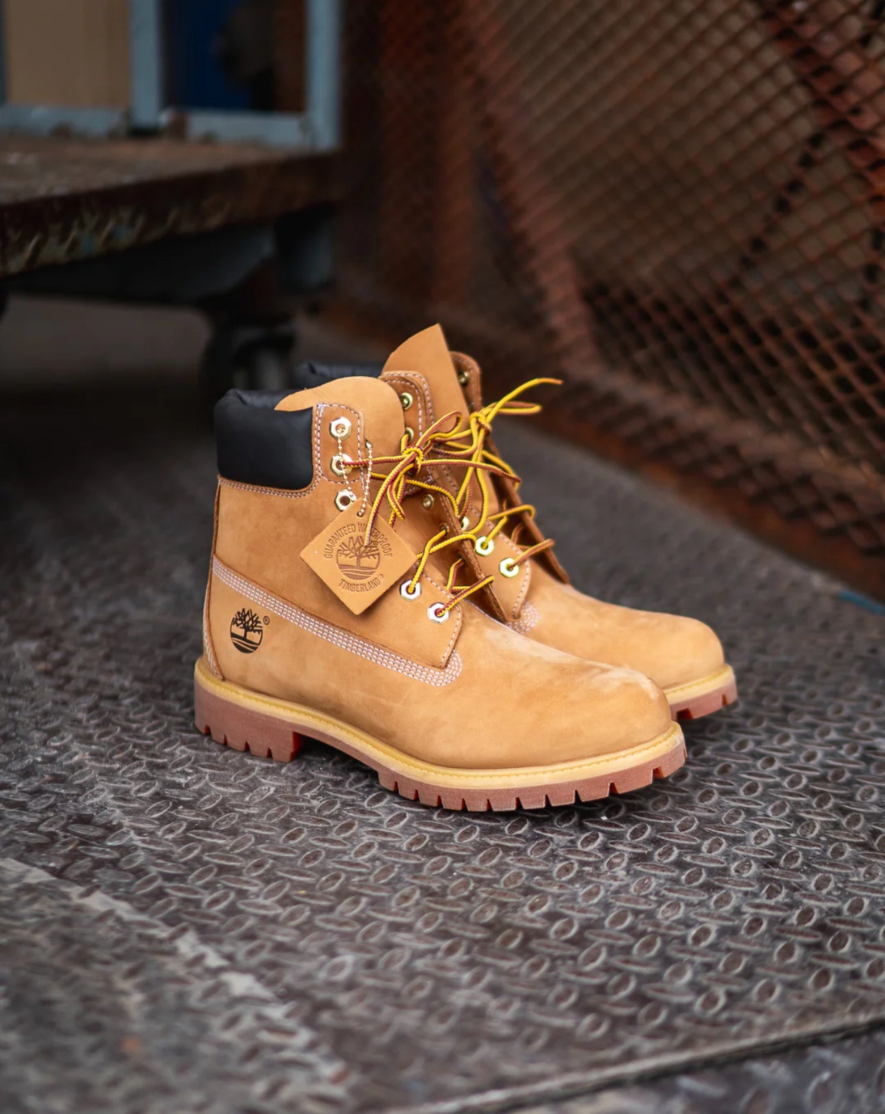 Timberland Boots 6IN “ Wheat “