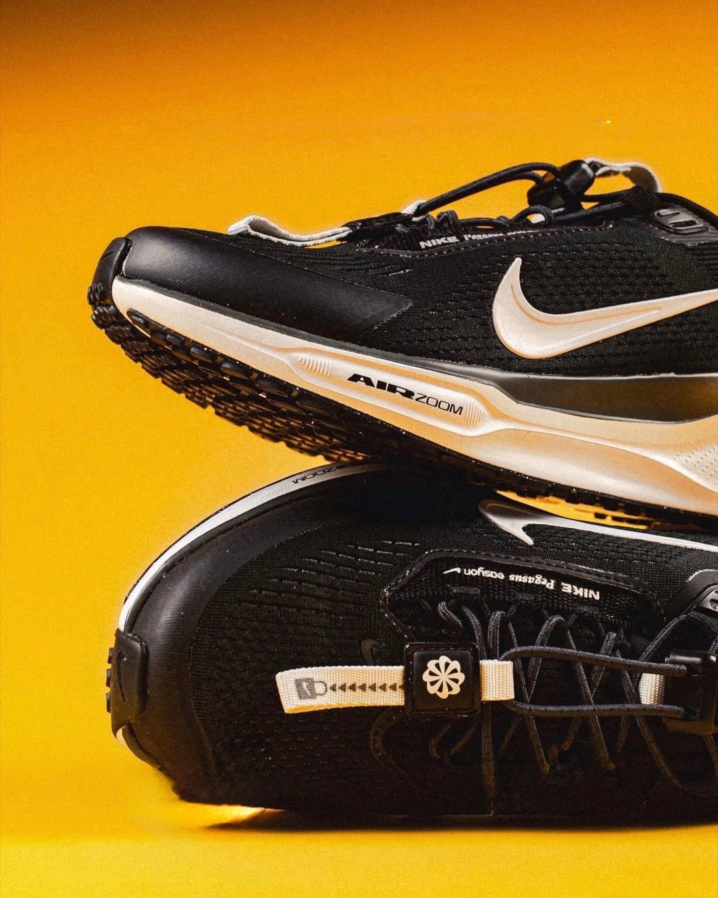 Air Zoom Pegasus 41 EasyOn Black Anthracite Photon Dust White