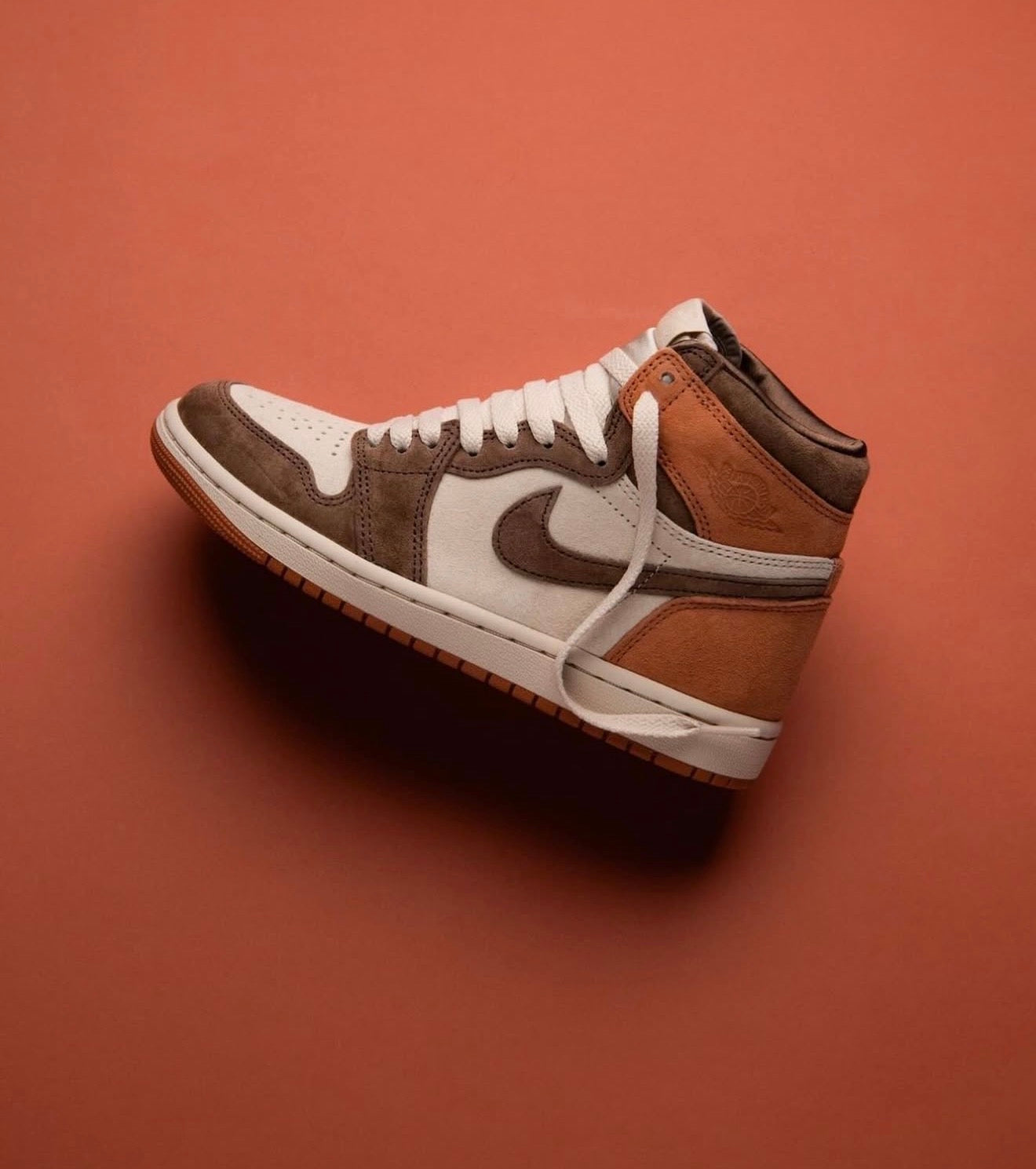 Air Jordan 1 Retro High OG SP Dusted Clay