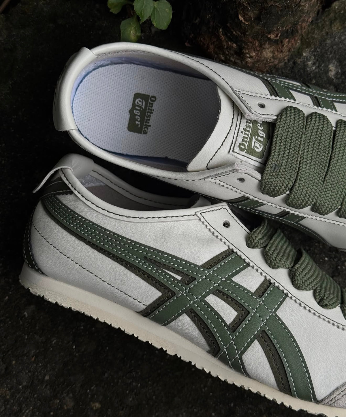 Mexico 66 Lace Up Cream Moss