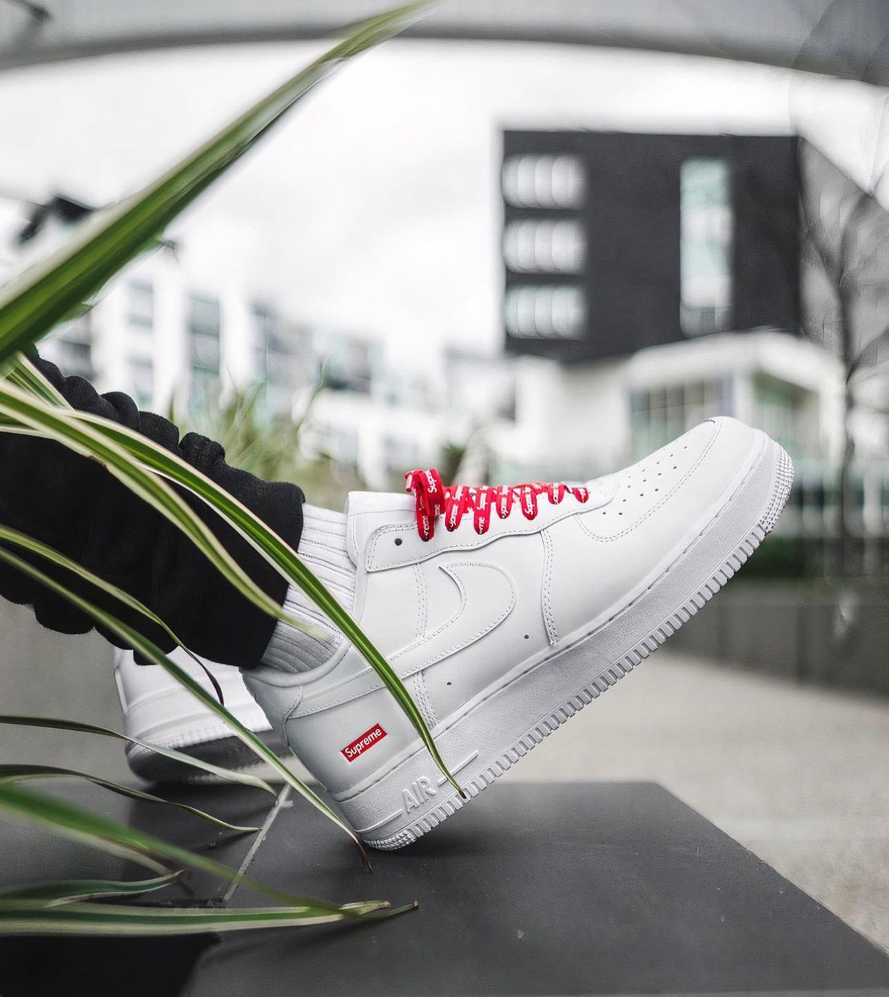 Supreme x Airforce 1 Low “White”