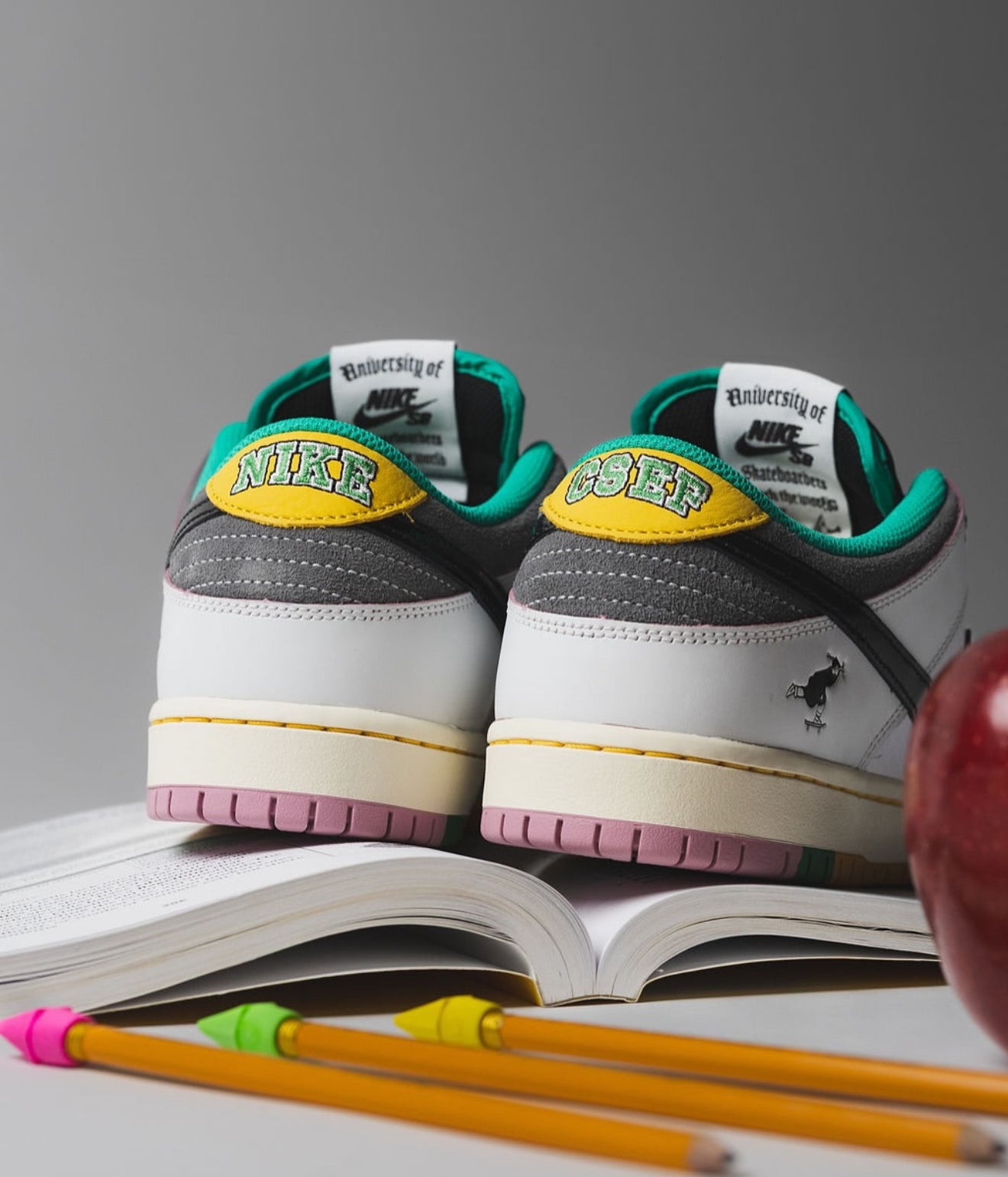 SB Dunk Low CSEF