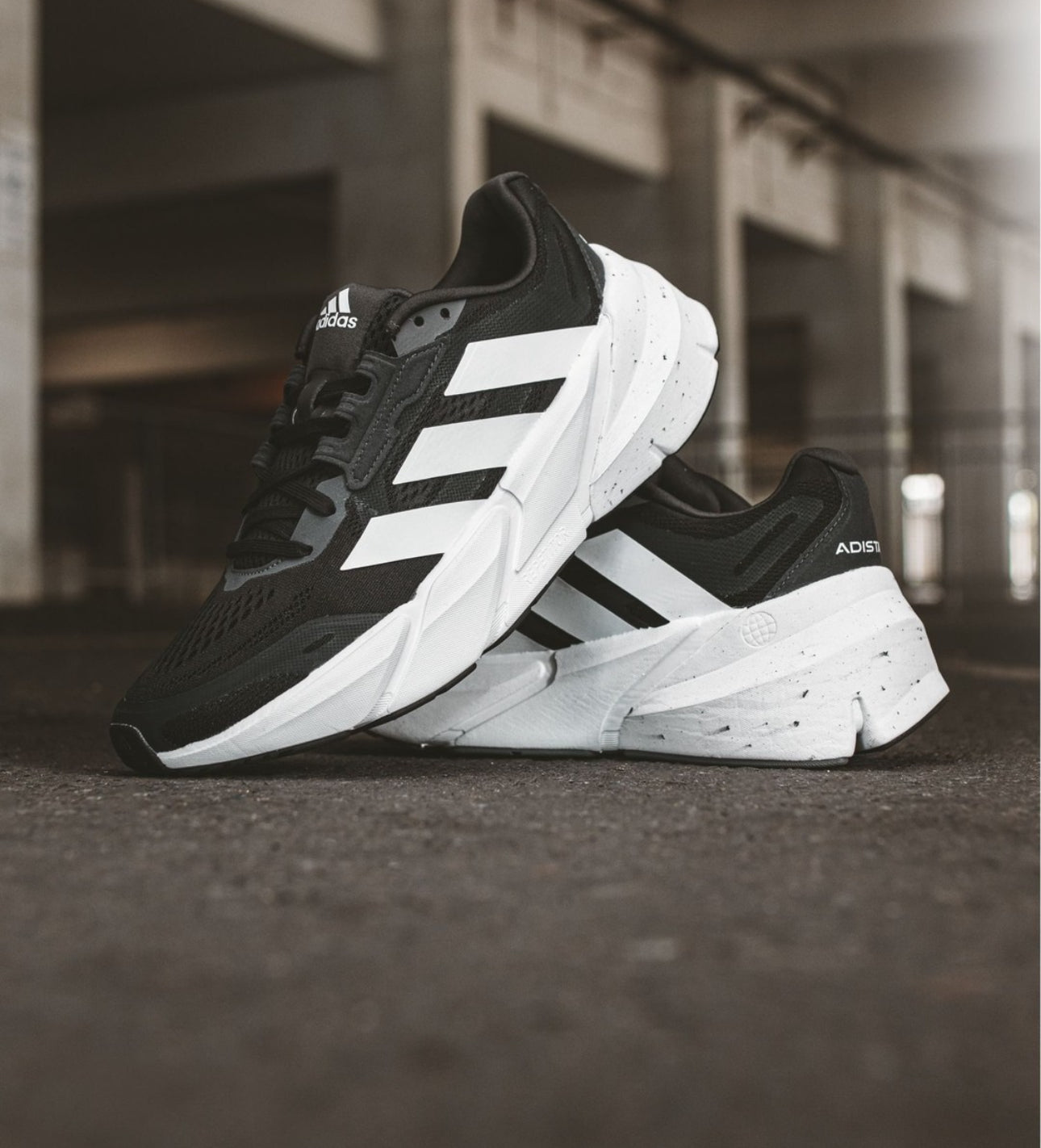 Adistar “ Black / White “