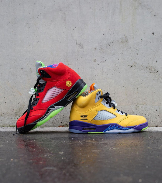 Air Jordan 5 What The