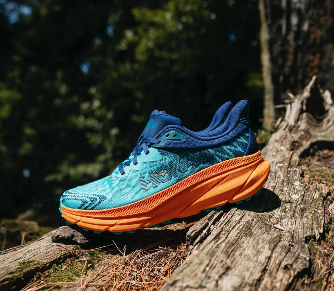 Hoka Challenger ATR 7 Blue