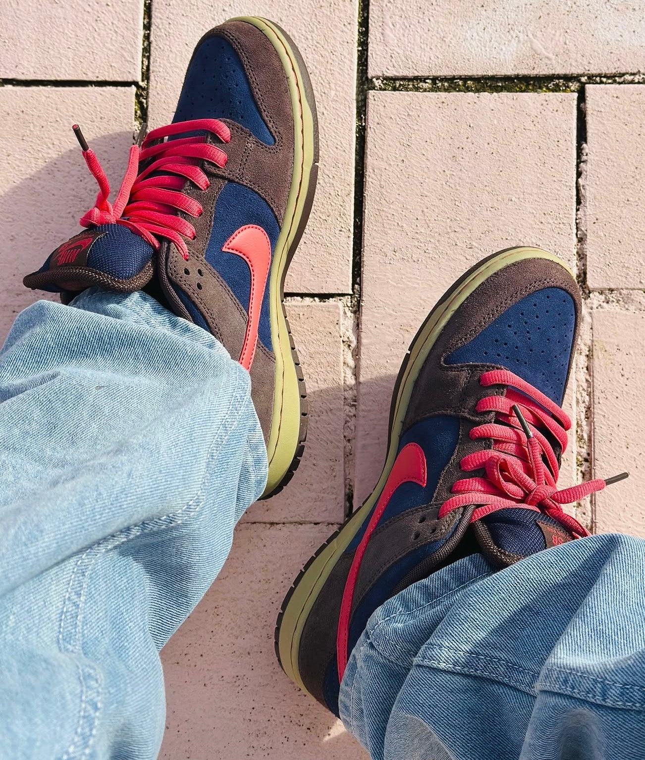 SB Dunk Low Pro Baroque Brown Adobe