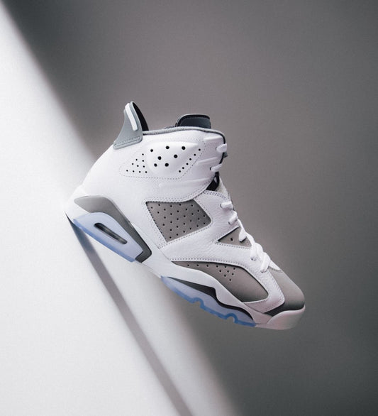 Air Jordan 6 “ Cool Grey “