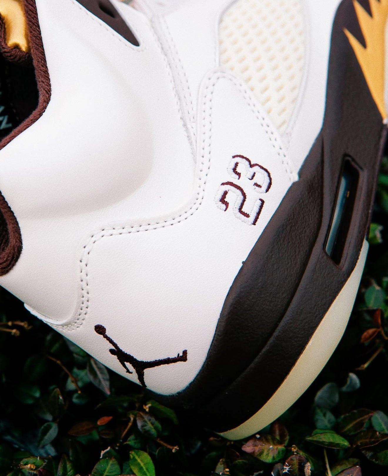 Air Jordan 5 Earth
