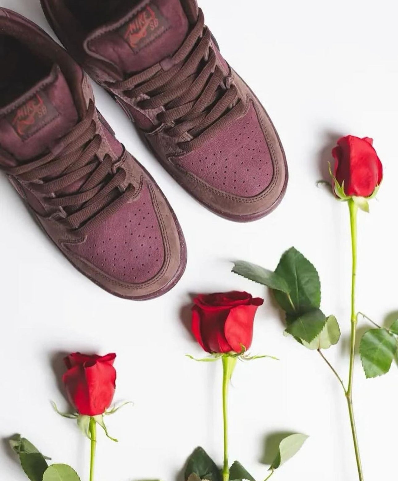 Dunk Low City Of Love Burgandy Crush