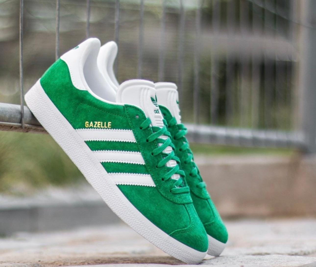 Gazelle Sneaker “ Green/White “