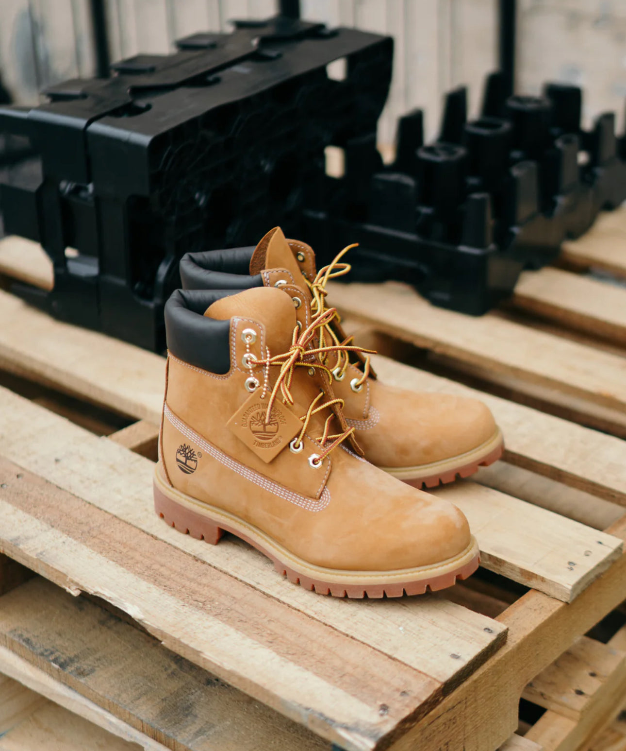 Timberland Boots 6IN “ Wheat “