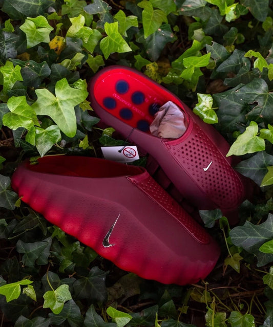 Mind 001 Slide Team Red University Red