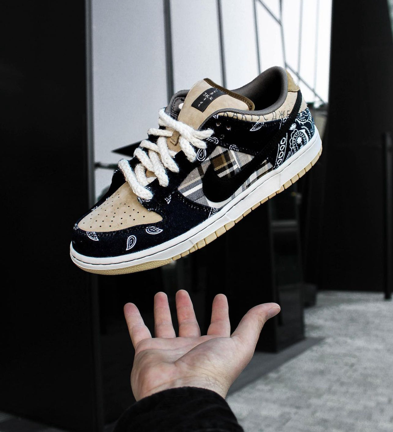 Sb Dunk Low Travis Scott