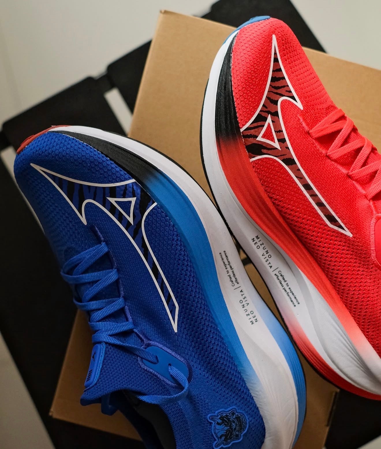 Mizuno Neo Vista
