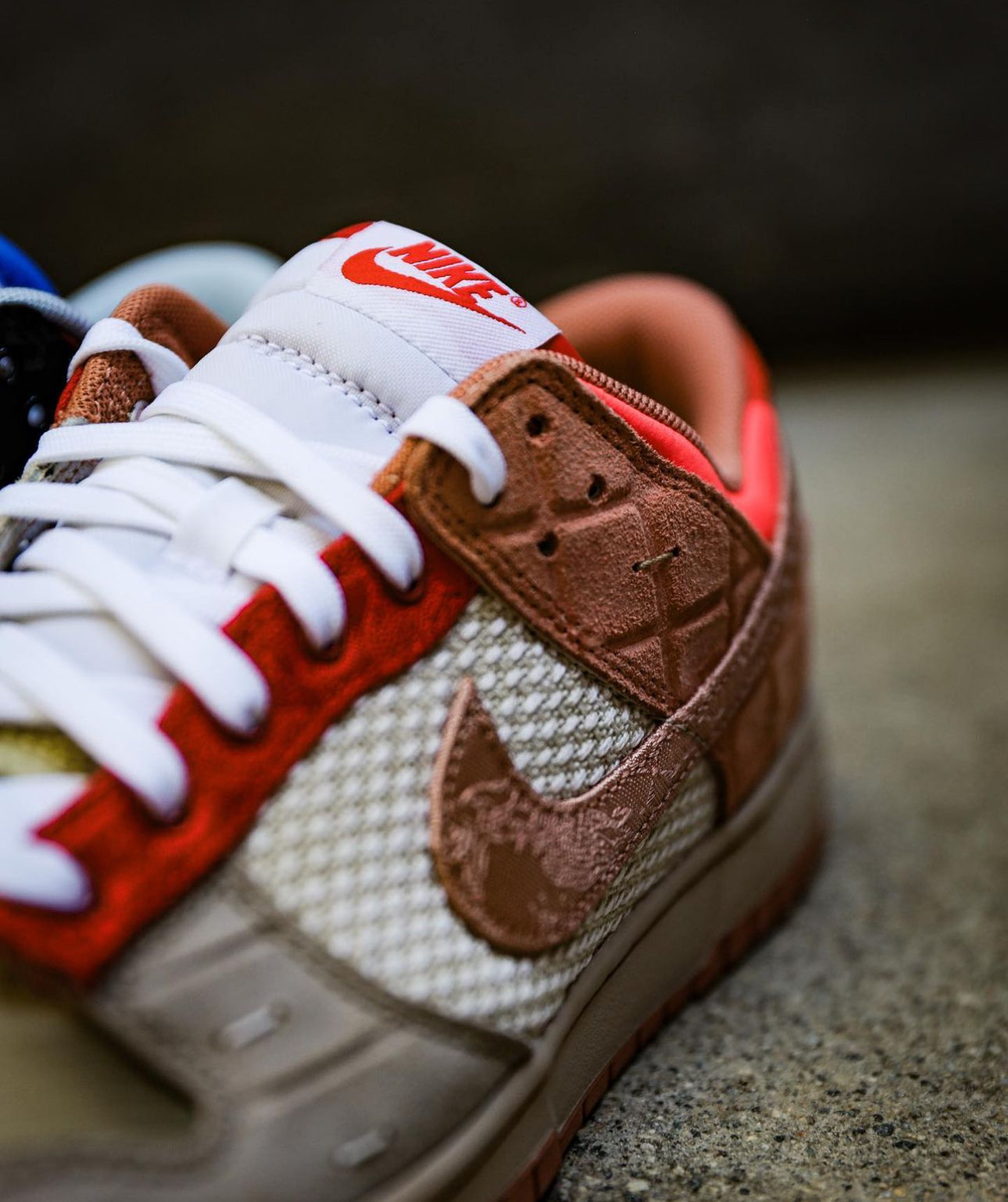 Dunk Low “What The Clot”