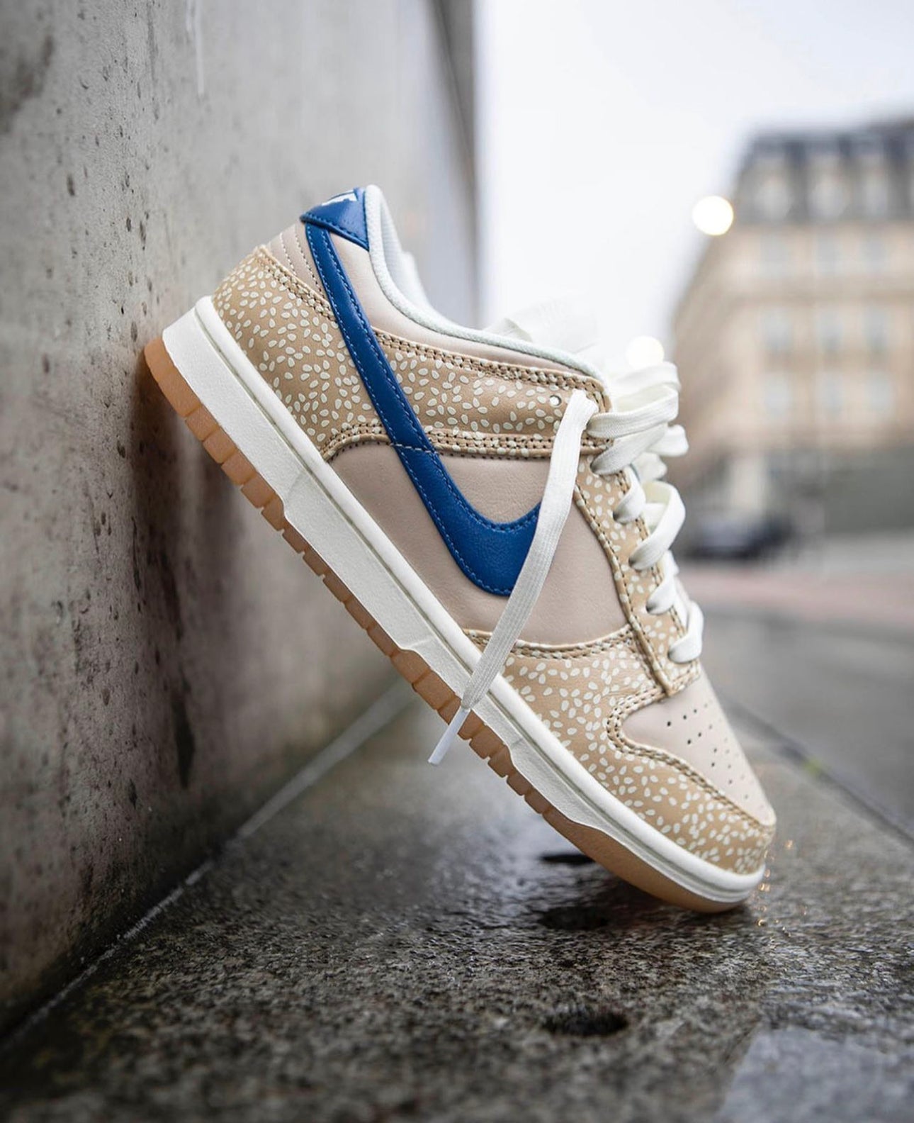 Dunk Low “ Montreal Bagel Sesame “