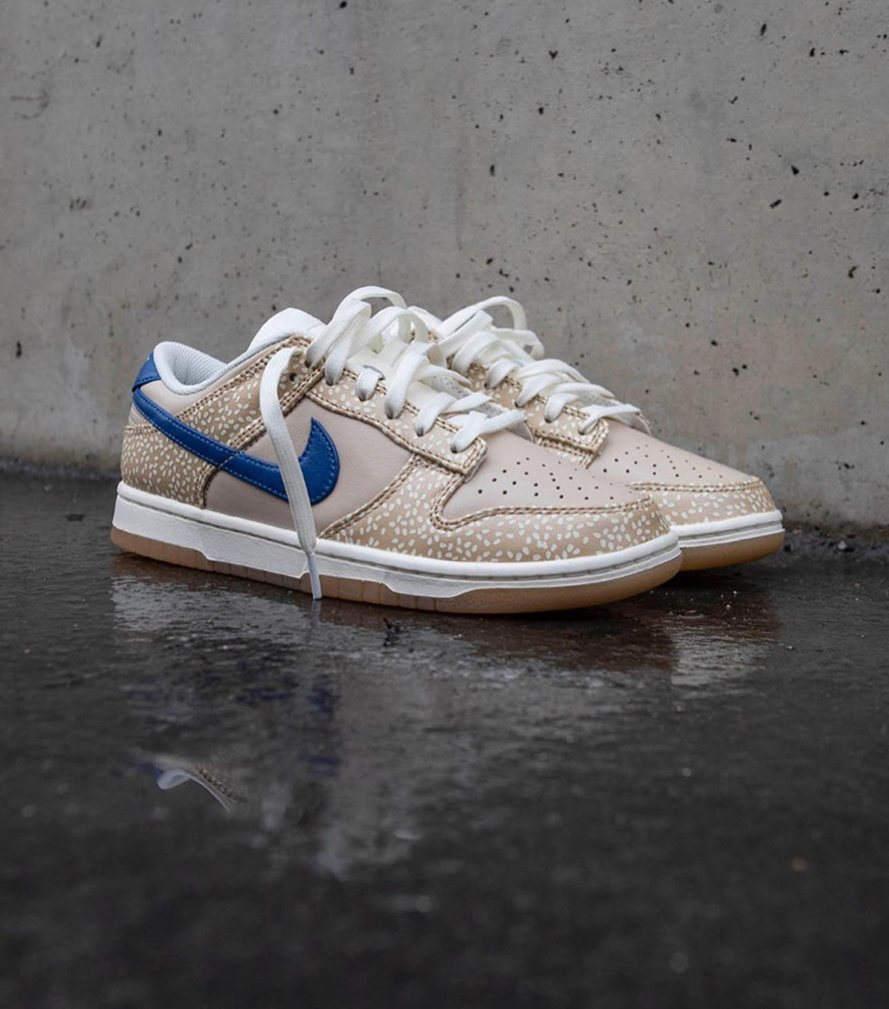 Dunk Low “ Montreal Bagel Sesame “